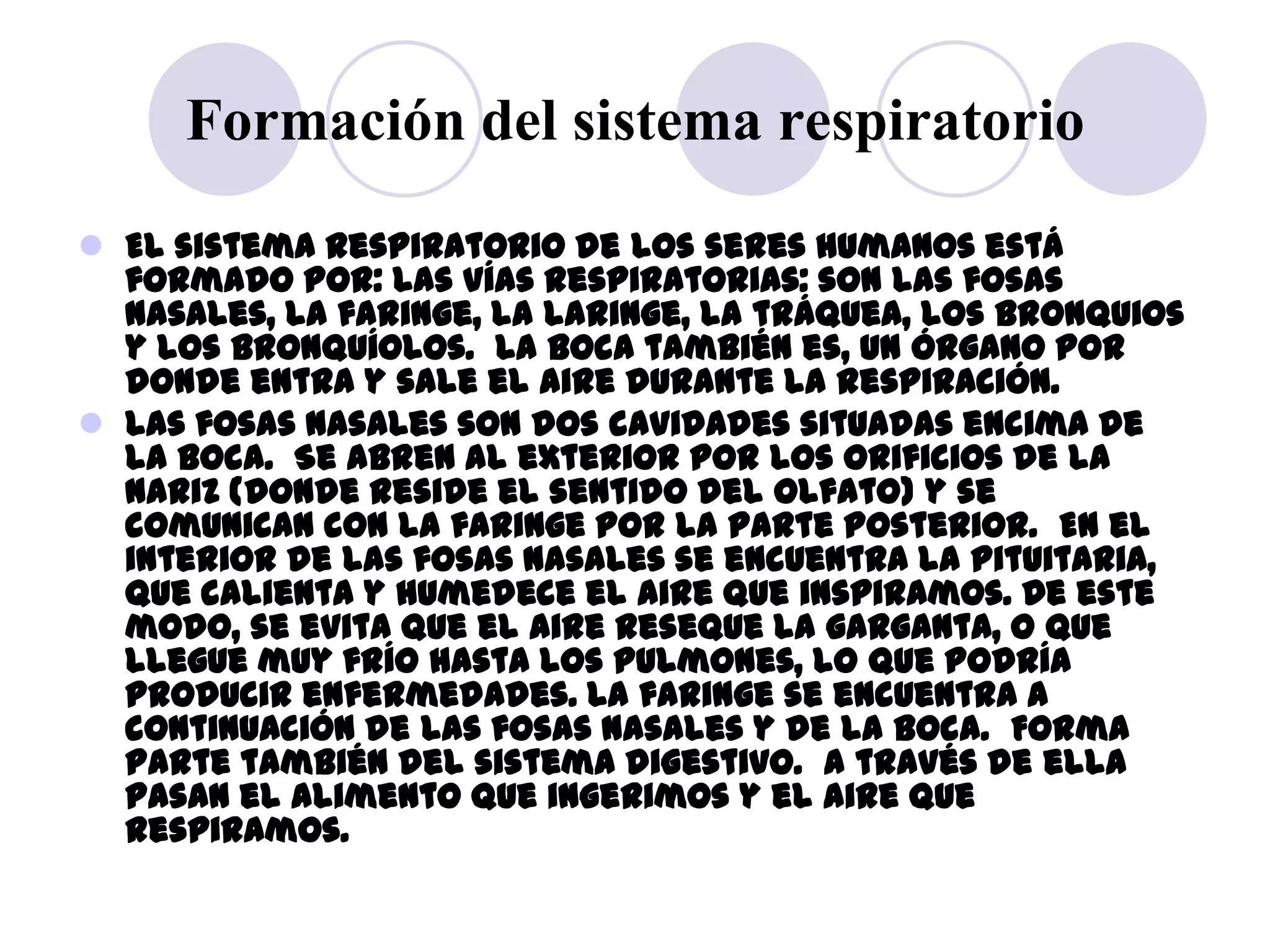 Formación del sistema respiratorio
 El sistema respiratorio de los seres humanos está
  formado por: Las vías respiratorias: son las fosas
  nasales, la faringe, la laringe, la tráquea, los bronquios
  y los bronquíolos. La boca también es, un órgano por
  donde entra y sale el aire durante la respiración.
 Las fosas nasales son dos cavidades situadas encima de
  la boca. Se abren al exterior por los orificios de la
  nariz (donde reside el sentido del olfato) y se
  comunican con la faringe por la parte posterior. En el
  interior de las fosas nasales se encuentra la pituitaria,
  que calienta y humedece el aire que inspiramos. De este
  modo, se evita que el aire reseque la garganta, o que
  llegue muy frío hasta los pulmones, lo que podría
  producir enfermedades. La faringe se encuentra a
  continuación de las fosas nasales y de la boca. Forma
  parte también del sistema digestivo. A través de ella
  pasan el alimento que ingerimos y el aire que
  respiramos.
 