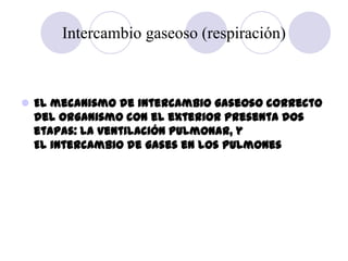 Intercambio gaseoso (respiración)



 El mecanismo de intercambio gaseoso correcto
  del organismo con el exterior presen...