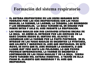 Formación del sistema respiratorio
 El sistema respiratorio de los seres humanos está
  formado por: Las vías respiratori...