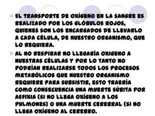  El transporte de oxígeno en la sangre es
  realizado por los glóbulos rojos,
  quienes son los encargados de llevarlo
  ...