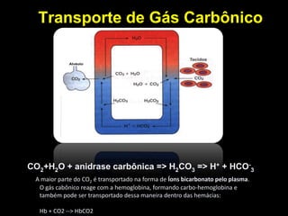 Transporte de Gás CarbônicoCO2+H2O + anidrase carbônica => H2CO3 => H+ + HCO-3A maior parte do CO2 é transportado na forma de Íons bicarbonato pelo plasma.O gás cabônico reage com a hemoglobina, formando carbo-hemoglobina e também pode ser transportado dessa maneira dentro das hemácias: Hb + CO2 --> HbCO2