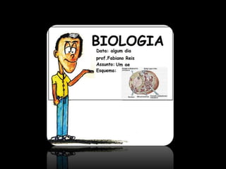 Sistema respiratorio slides da aula