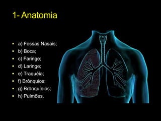 1- Anatomiaa) Fossas Nasais;b) Boca;c) Faringe;d) Laringe;e) Traquéia;f) Brônquios;g) Brônquíolos;h) Pulmões.