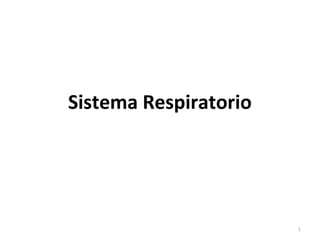 Sistema Respiratorio




                       1
 