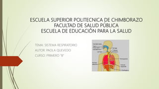 ESCUELA SUPERIOR POLITECNICA DE CHIMBORAZO
FACULTAD DE SALUD PÚBLICA
ESCUELA DE EDUCACIÓN PARA LA SALUD
TEMA: SISTEMA RESPIRATORIO
AUTOR: PAOLA QUEVEDO
CURSO: PRIMERO “B”
 