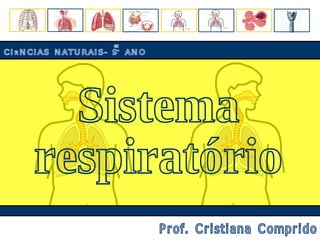 Sistema respiratório CIÊNCIAS NATURAIS- 9º ANO Prof. Cristiana Comprido 