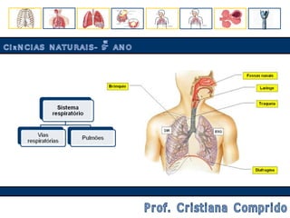 CIÊNCIAS NATURAIS- 9º ANO Prof. Cristiana Comprido 