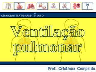 Ventilação pulmonar CIÊNCIAS NATURAIS- 9º ANO Prof. Cristiana Comprido 