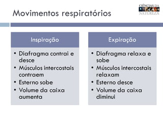 Movimentos respiratórios 