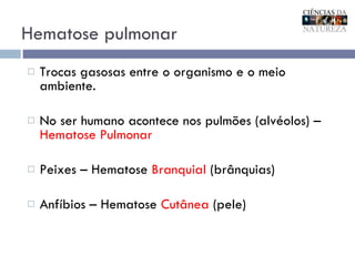 Hematose pulmonar Trocas gasosas entre o organismo e o meio ambiente. No ser humano acontece nos pulmões (alvéolos) –  Hematose Pulmonar Peixes – Hematose  Branquial  (brânquias) Anfíbios – Hematose  Cutânea  (pele) 