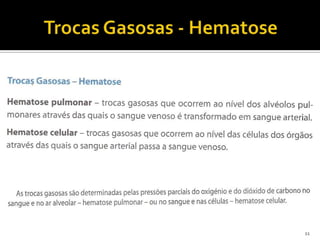 Trocas Gasosas - Hematose11