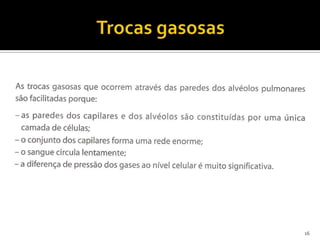 Trocas gasosas16