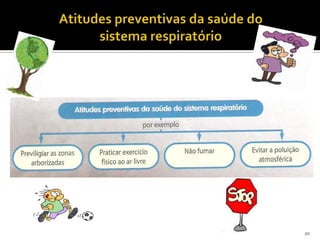 Atitudes preventivas da saúde do sistema respiratório20
