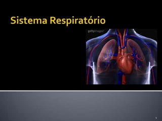 Sistema Respiratório 1 