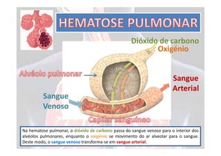 Dióxido de carbono
                                                           Oxigénio


                                                                        Sangue
                                                                        Arterial
         Sangue
         Venoso

Na hematose pulmonar, o dióxido de carbono passa do sangue venoso para o interior dos
alvéolos pulmonares, enquanto o oxigénio se movimento do ar alveolar para o sangue.
Deste modo, o sangue venoso transforma-se em sangue arterial.
 