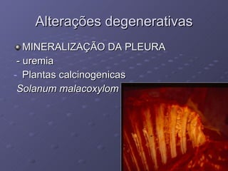 Alterações degenerativas MINERALIZAÇÃO DA PLEURA - uremia Plantas calcinogenicas Solanum malacoxylom 