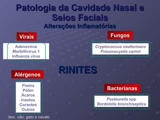Patologia da Cavidade Nasal e Seios Faciais Alterações Inflamatórias RINITES bov, cão, gato e cavalo Cryptococcus neoformans Pneumocystis carinii Fungos Poeira Pólen Ácaros Insetos Corantes Outros Alérgenos Adenovírus Morbillivirus 1 Influenza virus Virais Pasteurella  spp Bordetella bronchiseptica Bacterianas 