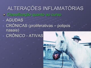 ALTERAÇÕES INFLAMATÓRIAS Classificação quanto ao curso AGUDAS CRÔNICAS (proliferativas – polipos nasais) CRÔNICO - ATIVAS 