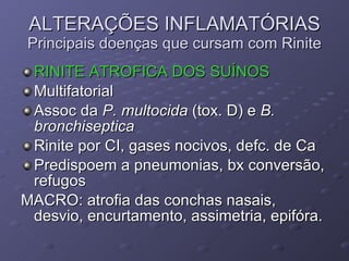 ALTERAÇÕES INFLAMATÓRIAS Principais doenças que cursam com Rinite RINITE ATROFICA DOS SUÍNOS Multifatorial Assoc da  P. multocida  (tox. D) e  B. bronchiseptica Rinite por CI, gases nocivos, defc. de Ca Predispoem a pneumonias, bx conversão, refugos MACRO: atrofia das conchas nasais, desvio, encurtamento, assimetria, epifóra. 