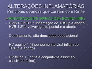 ALTERAÇÕES INFLAMATÓRIAS Principais doenças que cursam com Rinite RINOTRAQUEITE INFECCIOSA BOVINA (IBR) HVB-1 (HVB 1.1 inflamação do TRSup e aborto; HVB 1.2ª/b vulvovaginite pustular e aborto Confinamento, alta densidade populacional HV equino 1 (rinopneumonite viral inflam do TRsup e aborto) HV felino 1 ( rinite e conjuntivite assoc ao calicivirus felino) 