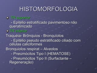 HISTOMORFOLOGIA TR superior - Epitélio estratificado pavimentoso não queratinizado TR inferior Traquéia- Brônquios - Bronquíolos - Epitélio pseudo estratificado ciliado com células caliciformes Bronquiolos respirat – Alveolos - Pneumócitos Tipo I (HEMATOSE) - Pneumócitos Tipo II (Surfactante – Regeneração) 