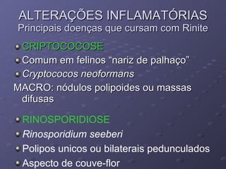 ALTERAÇÕES INFLAMATÓRIAS Principais doenças que cursam com Rinite CRIPTOCOCOSE Comum em felinos “nariz de palhaço” Cryptococos neoformans MACRO: nódulos polipoides ou massas difusas RINOSPORIDIOSE Rinosporidium seeberi Polipos unicos ou bilaterais pedunculados Aspecto de couve-flor 