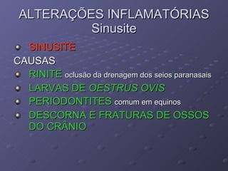 ALTERAÇÕES INFLAMATÓRIAS Sinusite SINUSITE CAUSAS RINITE  oclusão da drenagem dos seios paranasais LARVAS DE  OESTRUS OVIS PERIODONTITES  comum em equinos DESCORNA E FRATURAS DE OSSOS DO CRÂNIO 