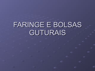 FARINGE E BOLSAS GUTURAIS 