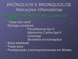 TRAQUEOBRONQUITE INFECCIOSA DOS CAES “ Tosse dos canis” Etiologia complexa: Parainfluenza tipo II Adenovirus Canino tipo II Cinomose Bordetella bronchiseptica Baixa letalidade Tosse seca Predisposição a broncopneumonias em filhotes BRÔNQUIOS E BRONQUIOLOS Alterações Inflamatórias 