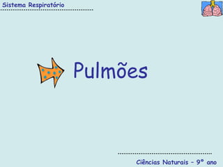 Sistema Respiratório




                       Pulmões



                            Ciências Naturais – 9º ano
 