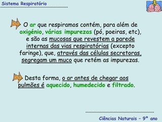 Sistema Respiratório



         O ar que respiramos contém, para além de
       oxigénio, várias impurezas (pó, poeiras, etc),
          e são as mucosas que revestem a parede
          internas das vias respiratórias (excepto
       faringe), que, através das células secretoras,
        segregam um muco que retém as impurezas.


         Desta forma, o ar antes de chegar aos
       pulmões é aquecido, humedecido e filtrado.




                                     Ciências Naturais – 9º ano
 