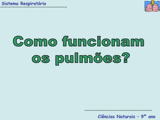 Sistema Respiratório




                       Ciências Naturais – 9º ano
 