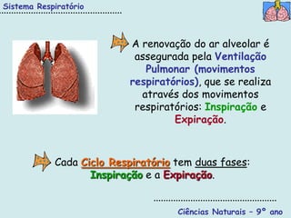 Sistema Respiratório



                           A renovação do ar alveolar é
                            assegurada pela Ventilação
                              Pulmonar (movimentos
                           respiratórios), que se realiza
                             através dos movimentos
                            respiratórios: Inspiração e
                                    Expiração.



            Cada Ciclo Respiratório tem duas fases:
                   Inspiração e a Expiração.


                                     Ciências Naturais – 9º ano
 