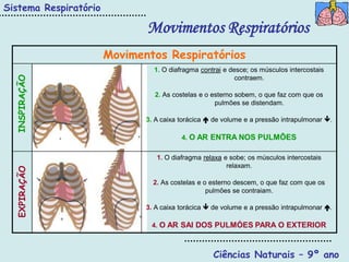 Sistema Respiratório

                              Movimentos Respiratórios
                       Movimentos Respiratórios
                                1. O diafragma contrai e desce; os músculos intercostais
  INSPIRAÇÃO




                                                           contraem.

                                2. As costelas e o esterno sobem, o que faz com que os
                                                    pulmões se distendam.

                              3. A caixa torácica  de volume e a pressão intrapulmonar .

                                         4. O AR ENTRA NOS PULMÕES

                                 1. O diafragma relaxa e sobe; os músculos intercostais
                                                        relaxam.
  EXPIRAÇÃO




                                2. As costelas e o esterno descem, o que faz com que os
                                                  pulmões se contraiam.

                              3. A caixa torácica  de volume e a pressão intrapulmonar .

                               4. O AR SAI DOS PULMÓES PARA O EXTERIOR



                                                   Ciências Naturais – 9º ano
 