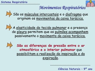 Sistema Respiratório

                         Movimentos Respiratórios
         São os músculos intercostais e o diafragma que
           originam os movimentos da caixa torácica.

        A elasticidade do tecido pulmonar e a presença
        de pleura permitem que os pulmões acompanhem
         passivamente o movimento da caixa torácica.

           São as diferenças de pressão entre o ar
             atmosférico e o interior pulmonar que
           possibilitam a realização da inspiração e da
                            expiração.


                                     Ciências Naturais – 9º ano
 