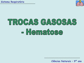 Sistema Respiratório




                       Ciências Naturais – 9º ano
 