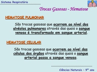 Sistema Respiratório

                        Trocas Gasosas - Hematose
   HEMATOSE PULMONAR

          São trocas gasosas que ocorrem ao nível dos
         alvéolos pulmonares através das quais o sangue
          venoso é transformado em sangue arterial.

    HEMATOSE CELULAR

         São trocas gasosas que ocorrem ao nível das
         células dos órgãos através das quais o sangue
                arterial passa a sangue venoso.


                                    Ciências Naturais – 9º ano
 