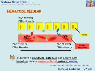 Sistema Respiratório


    HEMATOSE CELULAR
             PO2= 40 mm Hg
             PCO2= 45 mm Hg




                                                CO2           Célula
                  O2

        PO2= 104 mm Hg                    PO2= 40 mm Hg
                                                            Capilar
        PCO2= 40 mm Hg                    PCO2= 45 mm Hg   Sanguíneo




           É durante a circulação sistémica que ocorre esta
           hematose onde o sangue arterial passa a venoso.


                                           Ciências Naturais – 9º ano
 