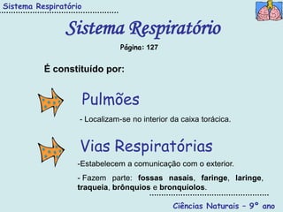 Sistema Respiratório


               Sistema Respiratório
                               Página: 127


          É constituído por:


                       Pulmões
                   - Localizam-se no interior da caixa torácica.


                   Vias Respiratórias
                  -Estabelecem a comunicação com o exterior.
                  - Fazem parte: fossas nasais, faringe, laringe,
                  traqueia, brônquios e bronquíolos.

                                              Ciências Naturais – 9º ano
 