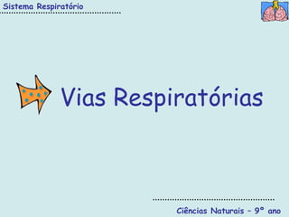 Sistema Respiratório




              Vias Respiratórias



                        Ciências Naturais – 9º ano
 