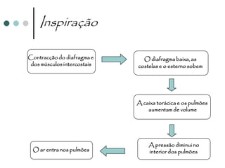Inspiração

Contracção do diafragma e      O diafragma baixa, as
 dos músculos intercostais   costelas e o esterno sobem




                             A caixa torácica e os pulmões
                                 aumentam de volume




                                 A pressão diminui no
 O ar entra nos pulmões          interior dos pulmões
 