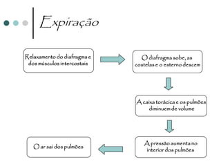 Expiração

Relaxamento do diafragma e     O diafragma sobe, as
 dos músculos intercostais   costelas e o esterno descem




                             A caixa torácica e os pulmões
                                  diminuem de volume




                                A pressão aumenta no
   O ar sai dos pulmões
                                interior dos pulmões
 