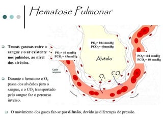 Hematose Pulmonar

                                                        PO2= 104 mmHg
       Trocas gasosas entre o                          PCO2= 40mmHg
        sangue e o ar existente    PO2= 40 mmHg
                                                                                      PO2= 104 mmHg
                                                           Alvéolo
        nos pulmões, ao nível      PCO2= 45mmHg
                                                                                      PCO2= 40 mmHg
        dos alvéolos.

                                                                    CO2
                                                             O2
       Durante a hematose o O2
        passa dos alvéolos para o
        sangue, e o CO2 transportado
        pelo sangue faz o percurso
        inverso.

        O movimento dos gases faz-se por difusão, devido às diferenças de pressão.
 