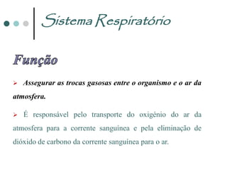 Sistema Respiratório



   Assegurar as trocas gasosas entre o organismo e o ar da
atmosfera.

   É responsável pelo transporte do oxigénio do ar da
atmosfera para a corrente sanguínea e pela eliminação de
dióxido de carbono da corrente sanguínea para o ar.
 