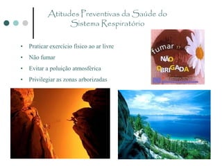 Atitudes Preventivas da Saúde do
                  Sistema Respiratório

•   Praticar exercício físico ao ar livre
•   Não fumar
•   Evitar a poluição atmosférica
•   Privilegiar as zonas arborizadas
 