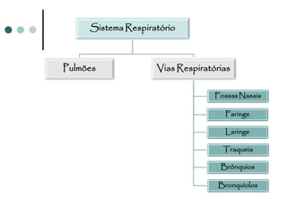 Sistema Respiratório



Pulmões             Vias Respiratórias

                                  Fossas Nasais

                                    Faringe

                                    Laringe

                                    Traqueia

                                   Brônquios

                                   Bronquíolos
 
