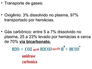Transporte de gases: Oxigênio: 3% dissolvido no plasma, 97% transportado por hemácias. Gás carbônico: entre 5 a 7% dissolvido no plasma, 25 a 23% levado por hemácias e cerca de 70%  via bicarbonato. 