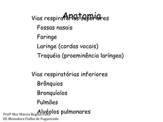 Anatomia Vias respiratórias superiores Fossas nasais Faringe Laringe (cordas vocais) Traquéia (proeminência laríngea) Vias respiratórias inferiores Brônquios Bronquíolos Pulmões  Alvéolos pulmonares Profª Msc Márcia Regina Faita EE Menodora Fialho de Fugueiredo 