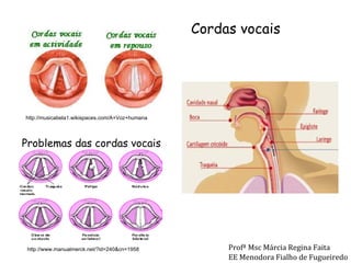 http://musicabela1.wikispaces.com/A+Voz+humana http://www.manualmerck.net/?id=240&cn=1958 Problemas das cordas vocais Cordas vocais Profª Msc Márcia Regina Faita EE Menodora Fialho de Fugueiredo 