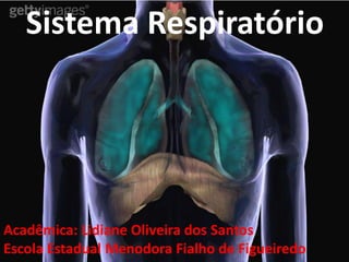 Sistema Respiratório




Acadêmica: Lidiane Oliveira dos Santos
Escola Estadual Menodora Fialho de Figueiredo
 
